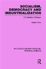 Amlan Datta, Datta Amlan - Socialism, Democracy and Industrialization Routledge Library