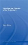 Maher Bahloul - Structure and Function of the Arabic Verb