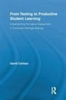 David Carless, David (University of Hong Kong) Carless, Carless David - From Testing to Productive Student Learning
