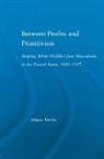 Athena Devlin, Devlin Athena - Between Profits and Primitivism