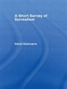 David Gascoyne, Gascoyne David - Short Survey of Surrealism