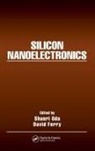 Shunri Ferry Oda, David Ferry, Ferry David, Shunri Oda, Oda Shunri - Silicon Nanoelectronics