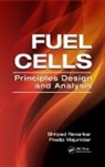 Pradip Majumdar, Shripad T. Revankar, Shripad T. Majumdar Revankar, Revankar Shripad T. - Fuel Cells