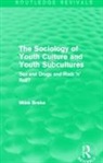 Michael Brake, Brake Michael - Sociology of Youth Culture and Youth Subcultures (Routledge Revivals)