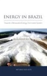 Antonio Dias Leite, Leite Antonio Dias - Energy in Brazil