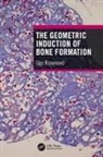 Ugo Ripamonti, Ugo (University of the Witwatersrand Ripamonti, Ripamonti Ugo - Geometric Induction of Bone Formation