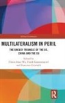 Chien-Huei (Academia Sinica Wu, Frank Gaenssmantel, Gaenssmantel Frank, Francesco Giumelli, Giumelli Francesco, Chien-Huei Wu... - Multilateralism in Peril