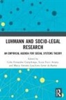 Celso Fernandes Fucci Amato Campilongo, Celso Fernandes Campilongo, Lucas Fucci Amato, Marco Antonio Loschiavo Leme de Barros - Luhmann and Socio-Legal Research