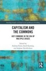 Andreas (University of Graz Exner, Andreas Exner, Exner Andreas, Stephan Hochleithner, Sarah Kumnig - Capitalism and the Commons