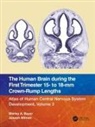 Joseph Altman, Altman Joseph, Shirley A. Bayer, Shirley A. (Indianapolis Bayer, Shirley A. Altman Bayer, Bayer Shirley A. - Human Brain During the First Trimester 15- To 18-Mm Crown-Rump Lengths