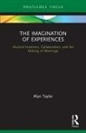 Alan Taylor - Imagination of Experiences