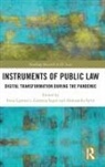 Irena Szpor Lipowicz, Irena Lipowicz, Lipowicz Irena, Aleksandra Syrt, Grażyna Szpor - Instruments of Public Law