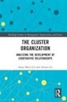 Adrian Lis, Anna Maria Lis, Anna Maria Lis Lis - Cluster Organization