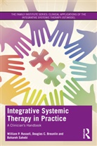 Douglas C. Breunlin, Breunlin Douglas C., William P. Russell, William P. Breunlin Russell, Bahareh Sahebi - Integrative Systemic Therapy in Practice