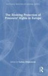 Gaetan (University of Strasbourg Cliquennois, Gaëtan Cliquennois - Evolving Protection of Prisoners Rights in Europe