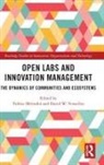 Valerie (Paris School of Business Merindol, Valérie Mérindol, David W. Versailles - Open Labs and Innovation Management