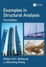 William M.C. McKenzie, William M.c. (Napier University Mckenzie, Binsheng Zhang, Zhang Binsheng - Examples in Structural Analysis