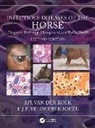 J.H. van der Kolk, J.h. (Utrecht Univ.) Veldhuis Kroeze Van Der Kolk, E.J.B. Veldhuis Kroeze - Infectious Diseases of the Horse