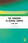 Jolanta Itrich-Drabarek, Jolanta Itrich-Drabarek, Itrich-Drabarek Jolanta - Pandemic in Central Europe