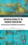 Melodine Roiha Sommier, Malgorzata Lahti, Anssi Roiha, Melodine Sommier - Interculturality in Higher Education