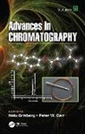 Nelu (Boehringer-Ingelheim Pharmaceutica Grinberg, Peter W. Carr, Carr Peter W., Nelu Grinberg, Grinberg Nelu - Advances in Chromatography