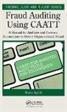 Shaun Aghili - Fraud Auditing Using Caatt