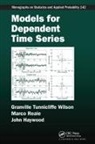 John Haywood, Marco Reale, Granville Tunnicliffe Wilson, Granville Reale Tunnicliffe Wilson - Models for Dependent Time Series