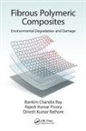 Rajesh Kumar Prusty, Dinesh Kumar Rathore, Bankim Chandra Ray, Bankim Chandra Prusty Ray - Fibrous Polymeric Composites