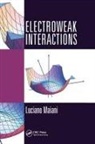 Luciano Maiani, Luciano (University of Rome Maiani - Electroweak Interactions