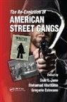 Dale L. (National University- Los Angeles) K June, Dale L. Khatibloo June, Gregorio Estevane, Estevane Gregorio, Dale L. June, June Dale L.... - Re-Evolution of American Street Gangs