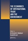 Amitrajeet a Beladi Batabyal, Amitrajeet A Batabyal, Hamid Beladi, Beladi Hamid - Economics of International Trade and the Environment
