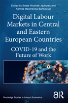 Beata Marchewka-Bartkowiak Wozniak-Jechorek, Kamilla Marchewka-Bartkowiak, Beata Wozniak-Jechorek, Beata Woźniak-Jęchorek - Digital Labour Markets in Central and Eastern European Countries