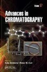 Nelu Carr Grinberg, Peter W. Carr, Carr Peter W., Nelu Grinberg, Grinberg Nelu - Advances in Chromatography, Volume 57
