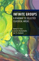 Martyn R. Dixon, Martyn R. Kurdachenko Dixon, Leonid A. Kurdachenko, Kurdachenko Leonid A., Igor Ya. Subbotin - Infinite Groups