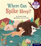 Catherine Casey, Ayesha Rubio - Essential Letters and Sounds: Essential Phonic Readers: Oxford