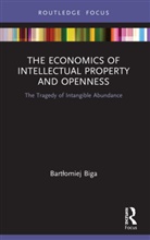 Bartlomiej Biga, Bartłomiej Biga, Bartomiej Biga - Economics of Intellectual Property and Openness