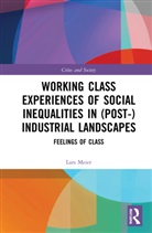 Lars Meier, Lars (Goethe Universitat Meier, Meier Lars - Working Class Experiences of Social Inequalities in Post Industrial