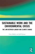 Chris Baldry, Chris Hyman Baldry, Baldry Chris, Jeff Hyman, Hyman Jeff - Sustainable Work and the Environmental Crisis
