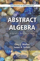 Gary L. Mullen, Gary L. (Penn State University Mullen, Gary L. Sellers Mullen, Mullen Gary L., James A. Sellers, Sellers James A. - Abstract Algebra