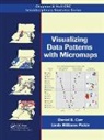 Daniel B. Carr, Daniel B. Pickle Carr, Linda Williams Pickle, Pickle Linda Williams - Visualizing Data Patterns With Micromaps