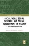 Solomon Amadasun, Mel Gray, Mel (University of Newcastle Gray - Social Work, Social Welfare, and Social Development in Nigeria