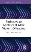 Sally-Ann Ashton, Ashton Sally-Ann - Pathways to Adolescent Male Violent Offending