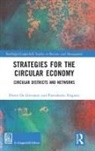 Pietro de Giovanni, Pietro Folgiero De Giovanni, Pierroberto Folgiero - Strategies for the Circular Economy