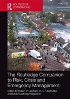 Jr. Gephart, Jr. Miller Gephart, Jr. Gephart, Robert P. Gephart Jr., C. Chet Miller, Miller C. Chet... - Routledge Companion to Risk, Crisis and Emergency Management