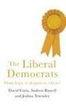 David Cutts, David Russell Cutts, Cutts David, Andrew Russell, Joshua Harry Townsley - Liberal Democrats
