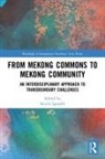 Seiichi (Chiba University Igarashi, Seiichi Igarashi - From Mekong Commons to Mekong Community