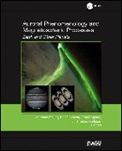 Andreas Donovan Keiling, Fran Bagenal, Eric Donovan, Donovan Eric, Tomas Karlsson, Andreas Keiling... - Auroral Phenomenology and Magnetospheric Processes