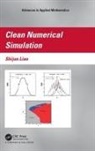 Shijun Liao, Shijun (Shanghai Jiao Tong University Liao, Liao Shijun - Clean Numerical Simulation