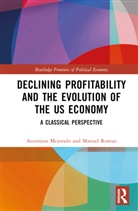 Ascension Mejorado, Ascension Roman Mejorado, Mejorado Ascension, Manuel Roman, Roman Manuel - Declining Profitability and the Evolution of the Us Economy