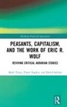 David Seddon, Seddon David, Fraser Sugden, Mark Tilzey, Mark (Coventry Univeristy Tilzey - Peasants, Capitalism, and the Work of Eric R. Wolf